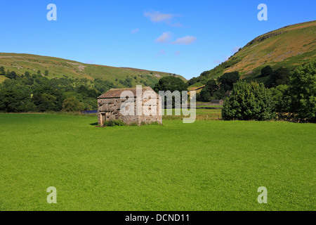 Feld-Scheune in der Nähe von Muker im Swaledale, North Yorkshire, Yorkshire Dales National Park, England, UK. Stockfoto