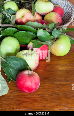 grüne Blätter und rote Äpfel auf Holztisch Stockfoto