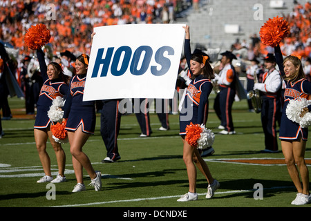 Die Virginia Cheerleading-Mannschaft vor dem Start des Spiels UCONN. Virginia Cavaliers besiegte die Connecticut Huskies 17-16 im Scott Stadium in Charlottesville, VA am 13. Oktober 2007 Stockfoto