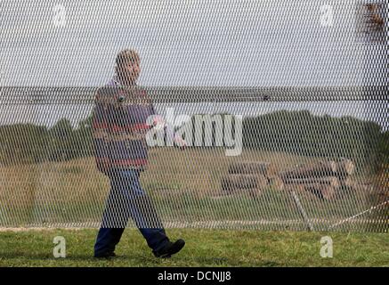 Eine Frau geht das erste Denkmal in Mecklenburg-Vorpommern für Opfer des inneren deutschen Grenze auf dem ehemaligen Todesstreifen in der Nähe von Kneese, Deutschland, 19. August 2013 Vergangenheit. Drei Jahrzehnte nach der Tod von Harry Weltzin Denkmal Form original Partss der ehemaligen Grenzanlagen mit einer Cermeony am 31. August 2013 eingeweiht werden. Foto: JENS Büttner Stockfoto