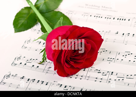 Rote Rose über Noten Stockfoto