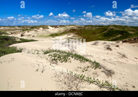 Sanddünen in Zandvoort Aan zee Stockfoto