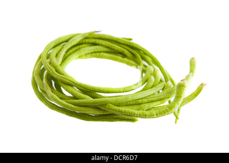 Eine Reihe von frisch gepflückten langen Bohnen, isoliert auf weiss Stockfoto