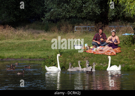 Ein paar füttern Schwäne und Cygnets, genießen ein Picknick am Ufer des Flusses Cam, Cambridge, UK Stockfoto