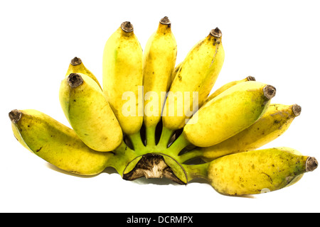 Kultivierte Banane isoliert Kluai Namwa auf weißem Hintergrund. Stockfoto