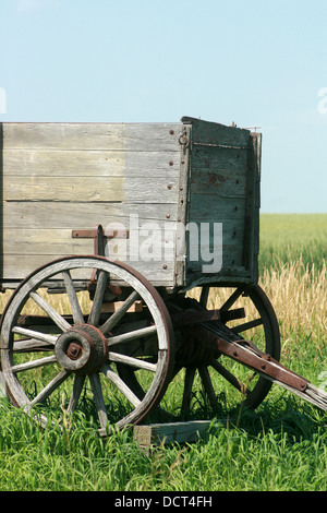 Ein Vintage Getreide Wagen auf einem Bauern-Feld auf den Wiesen in der Nähe von Morden, Manitoba, Kanada Stockfoto