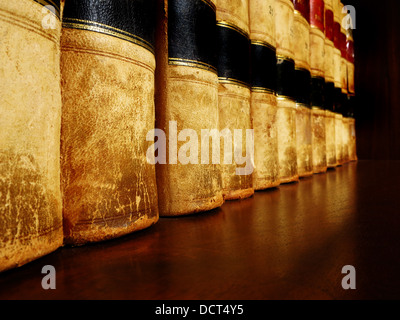 Reihe von alten Leder-Bücher im Regal Stockfoto