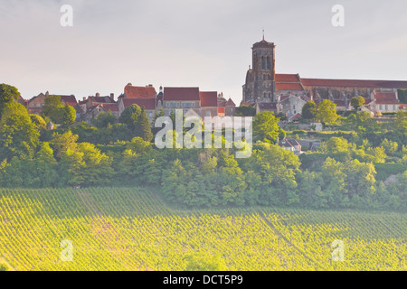 Weinberge unterhalb der Bergkuppe Dorf von Vezelay im Burgund. Diese besondere Weinberg heißt Le Clos. Stockfoto