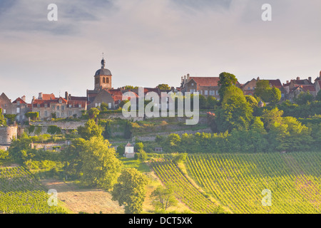 Weinberge unterhalb der Bergkuppe Dorf von Vezelay im Burgund. Diese besondere Weinberg heißt Le Clos. Stockfoto