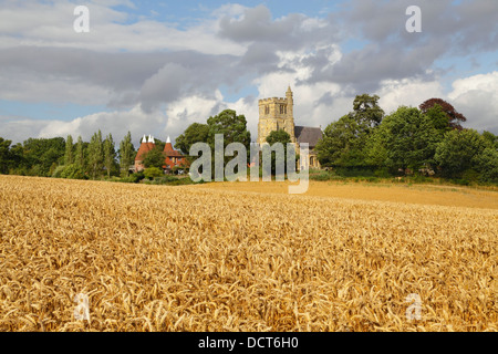 Erntezeit in Kent, Großbritannien. Horsmonden Kirche und Oast Häuser, Kent, England, UK in Wealden Landschaft Stockfoto