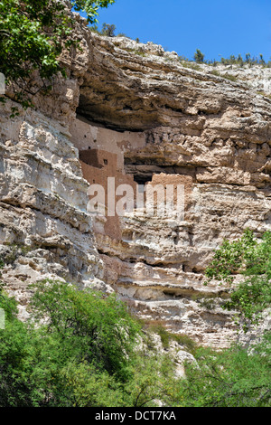 Montezuma Castle National Monument, gut erhaltene Klippe Wohnung der Sinagua Menschen, in der Nähe von Camp Verde, Arizona, USA Stockfoto