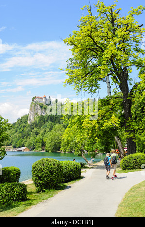 Triglav, Bled, See, Slowenien, Nordslowenien Stockfoto