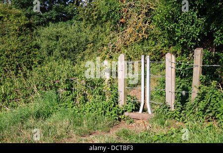 Ein Rambler Tor auf einen öffentlichen Fußweg durch den Fluss Bure am kleinen Hautbois, Norfolk, England, Vereinigtes Königreich. Stockfoto