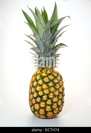Ananas Stockfoto