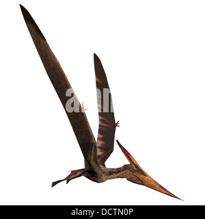 Pteranodon war ein reptilian Vogel aus der späten Kreidezeit of North America. Stockfoto