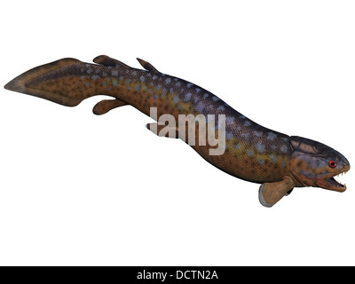 Rhizodus ist eine ausgestorbene Gruppe von Karbon Lappen finned Raubfische, die in Süßwasser gelebt. Stockfoto