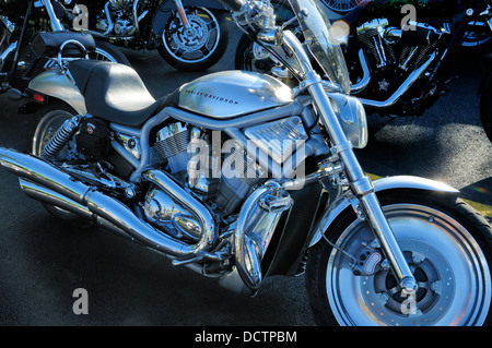 Harley Davidson Motorrad / s V-Rod Stockfoto