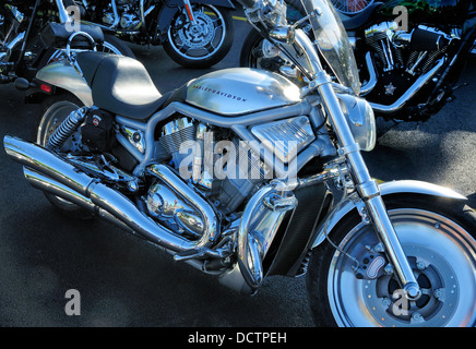 Harley Davidson Motorrad / V-Rod Stockfoto