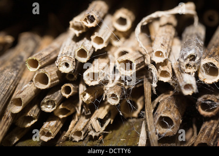Altanlage resultiert in einem Fehler-Hotel Nützlinge in den Garten zu fördern. Stockfoto