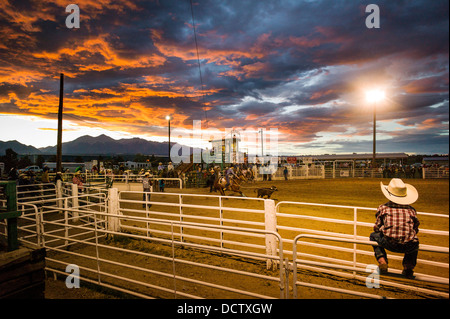 Kleiner Junge am Corral Zaun Uhren der Chaffee County Rodeo Stockfoto