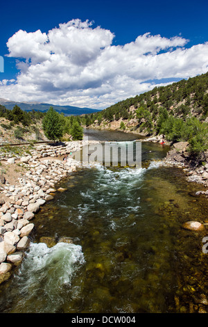 Kajakfahrer, Schwimmer und Hund in den Arkansas River, Buena Vista, Colorado, USA Stockfoto