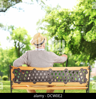 Reifer Mann ruht auf einer Holzbank im park Stockfoto