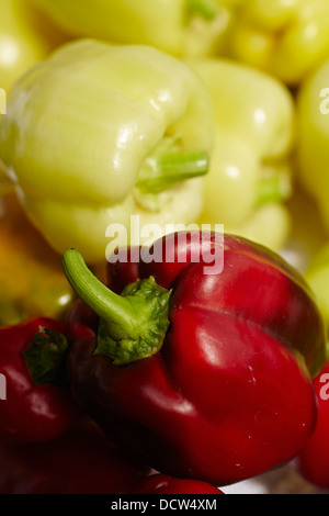 Paprika-Anzeige, Bauernmarkt, Stowe, Vermont, New England, USA Stockfoto