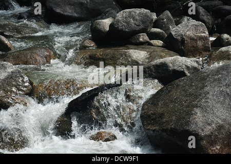 Ein Stream am Shannon Falls in Squamish in der Nähe von Whistler, BC Stockfoto