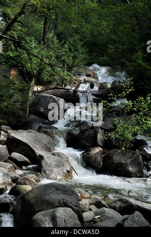 Ein Stream am Shannon Falls in Squamish in der Nähe von Whistler, BC. Stockfoto