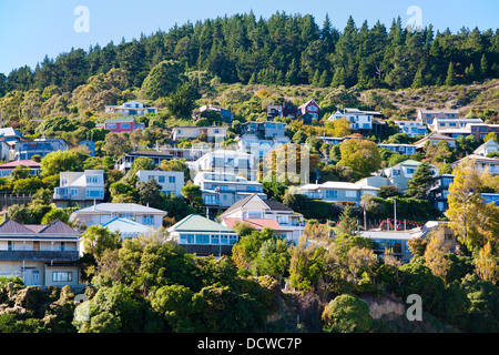 Häuser am Hang mit Blick auf Lyttelton Harbour, Christchurch, Canterbury, Südinsel, Neuseeland Stockfoto