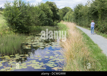 Die Montgomery-Kanal in der Nähe von Welshpool, Powys, Wales, UK Stockfoto