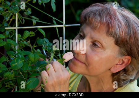 Reife Frau, die auf eine Rose riecht Stockfoto