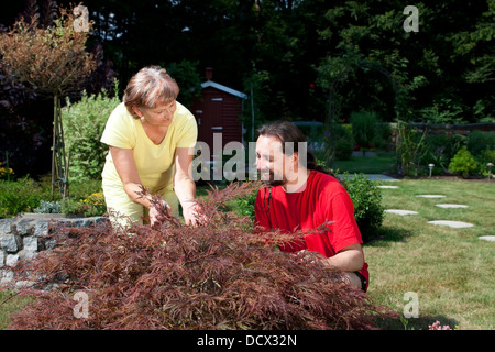 Frau und Mann arbeiten im Garten Stockfoto
