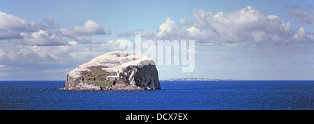 Der Bass Felseninsel im Firth of Forth beherbergt eine große Kolonie der Basstölpel Stockfoto