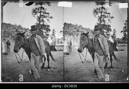 FRED W. LORING UND SEINEM MAULTIER BÖSE MERODACH PRESCOTT, ARIZONA--523916 Stockfoto