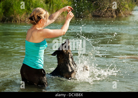 hübsche Frau im Wasser animiert Hund spielen Stockfoto