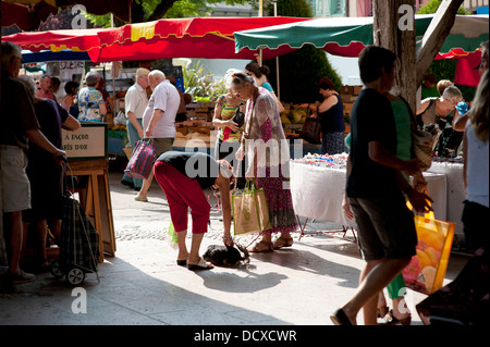 Mirepoix eine mittelalterliche Bastide-Stadt im Département Ariège der Süd-West Frankreich in den Ausläufern der Pyrenäen. Stockfoto