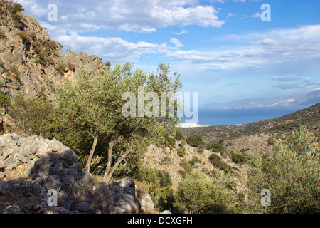 Lato, antike Stadt auf der Insel Kreta Stockfoto