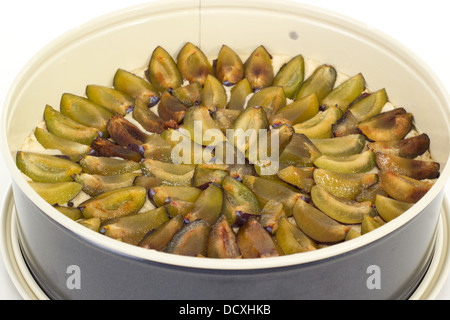 Kuchenteig mit Pflaumen in Backform Stockfoto