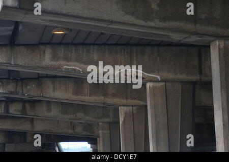 Nach der Schließung eines Abschnitts der A4 bei Hammersmith Flyover aufgrund einer Schwächung in seiner Struktur, einen Abschnitt von der M4-Überführung wird weiter entlang der gleichen Strecke, auf Fehler geprüft. Diese Bilder zeigen zahlreiche Risse in der concret Stockfoto