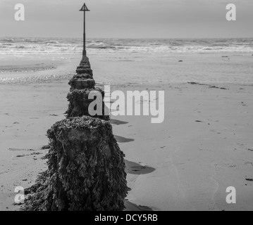Schwarz und weiß Foto Meer Brandung am Sandstrand Stockfoto