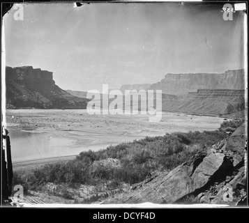 BLICK ÜBER DEN COLORADO RIVER IN DEN MUND DES PARIA CREEK, ARIZONA--524290 Stockfoto