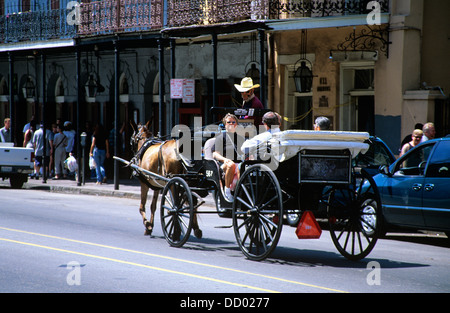 Schlitten-Touren sind ein beliebter Weg, das French Quarter, New Orleans, Louisiana, Vereinigte Staaten von Amerika zu besuchen Stockfoto