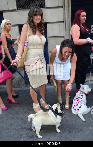 London UK 21. August 2013: Hunde-Liebhaber besucht CH5 TV Launch Party -, die die Welten die meisten verwöhnten Haustier? bei DSTRKT. Stockfoto