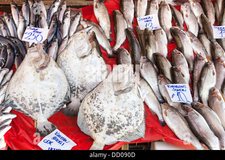 Fisch zum Verkauf auf dem Fischmarkt am Kai neben Galata-Brücke, Istanbul, Türkei Stockfoto
