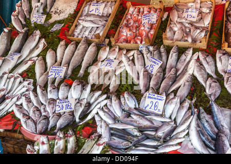 Fisch zum Verkauf auf dem Fischmarkt am Kai neben Galata-Brücke, Istanbul, Türkei Stockfoto