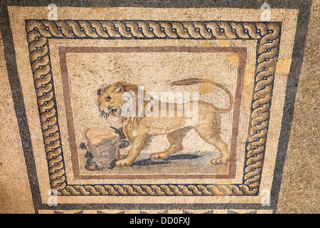 Mosaik von einem Löwen und einem Stierkopf auf dem Boden eines der Terrasse beherbergt, Ephesus, Türkei Stockfoto