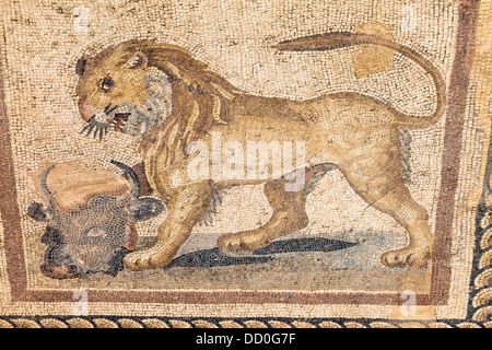 Mosaik von einem Löwen und einem Stierkopf auf dem Boden eines der Terrasse beherbergt, Ephesus, Türkei Stockfoto