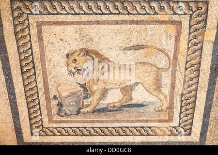 Mosaik von einem Löwen und einem Stierkopf auf dem Boden eines der Terrasse beherbergt, Ephesus, Türkei Stockfoto