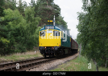 Diesel-elektrisch, Lokomotive, 27106, D5394, BRCW, Boot, Garten, Typ 2, Strathspey Dampfeisenbahn, Hochland, Schottland Stockfoto